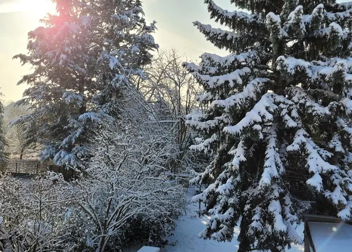 Kaiserblick 65 * Brühl